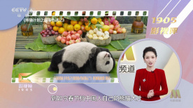 我和丰满老师疯狂做爰小说